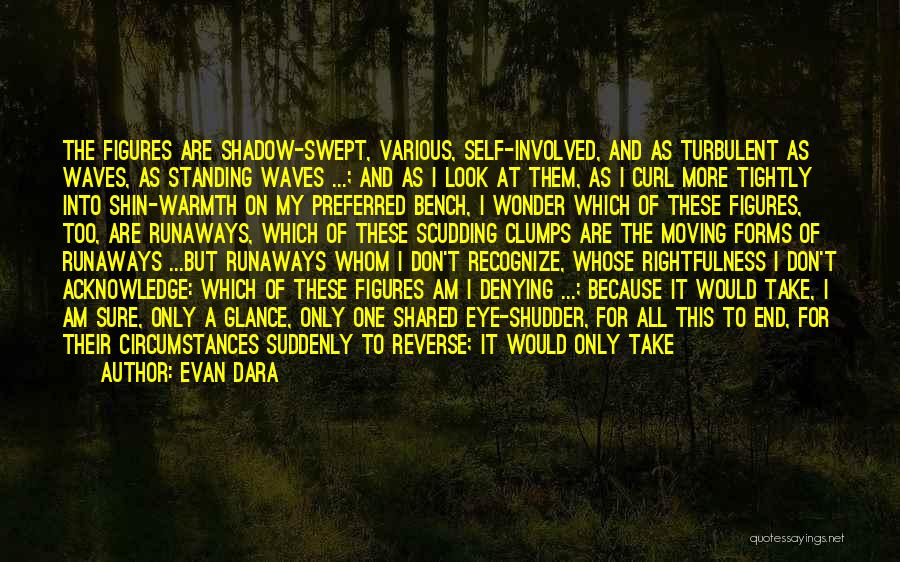 Evan Dara Quotes: The Figures Are Shadow-swept, Various, Self-involved, And As Turbulent As Waves, As Standing Waves ...; And As I Look At