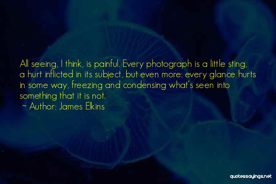 James Elkins Quotes: All Seeing, I Think, Is Painful. Every Photograph Is A Little Sting, A Hurt Inflicted In Its Subject, But Even