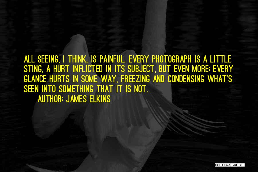 James Elkins Quotes: All Seeing, I Think, Is Painful. Every Photograph Is A Little Sting, A Hurt Inflicted In Its Subject, But Even