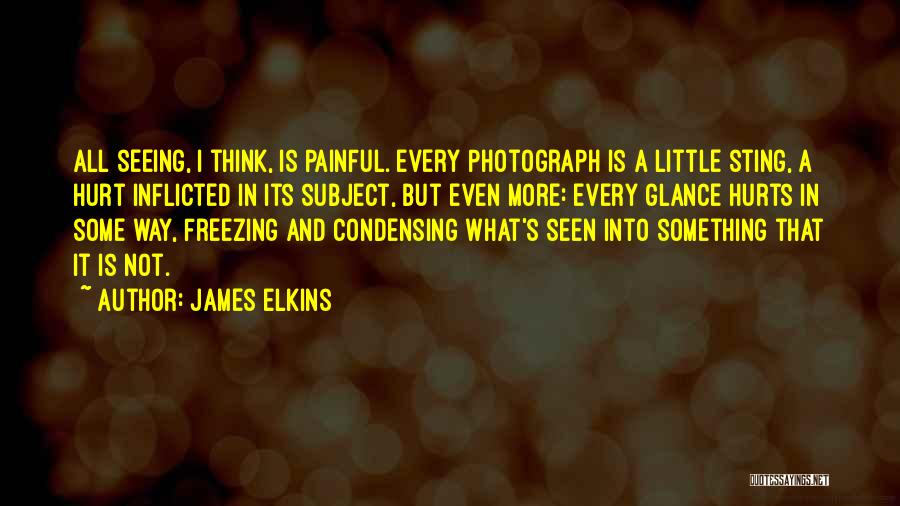 James Elkins Quotes: All Seeing, I Think, Is Painful. Every Photograph Is A Little Sting, A Hurt Inflicted In Its Subject, But Even