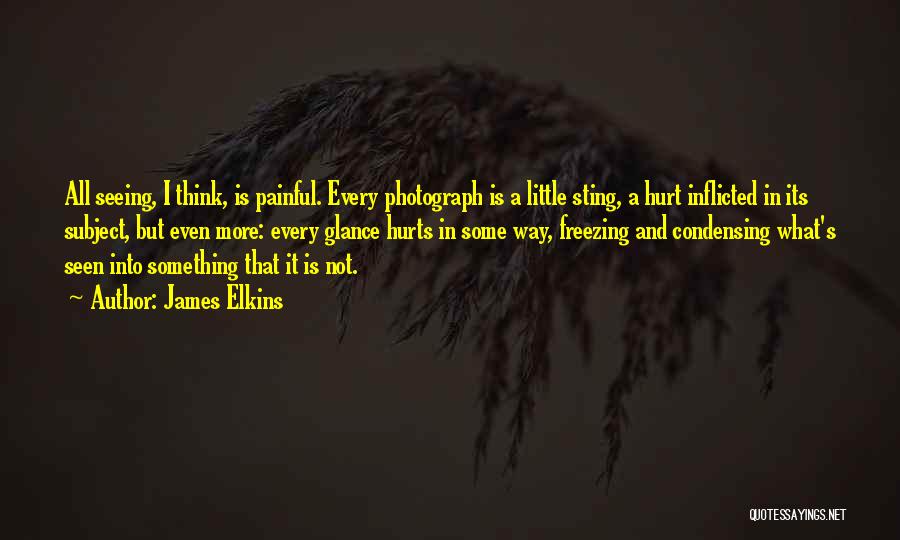 James Elkins Quotes: All Seeing, I Think, Is Painful. Every Photograph Is A Little Sting, A Hurt Inflicted In Its Subject, But Even