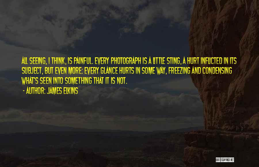 James Elkins Quotes: All Seeing, I Think, Is Painful. Every Photograph Is A Little Sting, A Hurt Inflicted In Its Subject, But Even