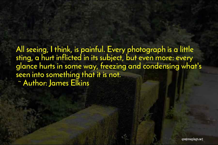 James Elkins Quotes: All Seeing, I Think, Is Painful. Every Photograph Is A Little Sting, A Hurt Inflicted In Its Subject, But Even