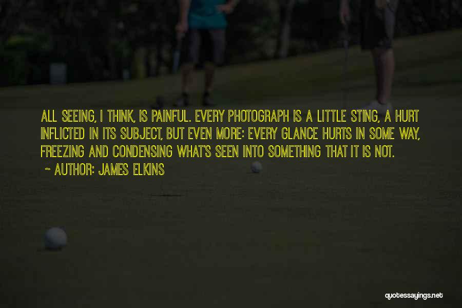 James Elkins Quotes: All Seeing, I Think, Is Painful. Every Photograph Is A Little Sting, A Hurt Inflicted In Its Subject, But Even