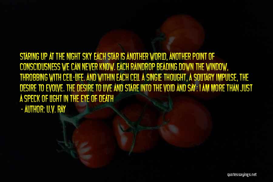 U.V. Ray Quotes: Staring Up At The Night Sky Each Star Is Another World, Another Point Of Consciousness We Can Never Know. Each