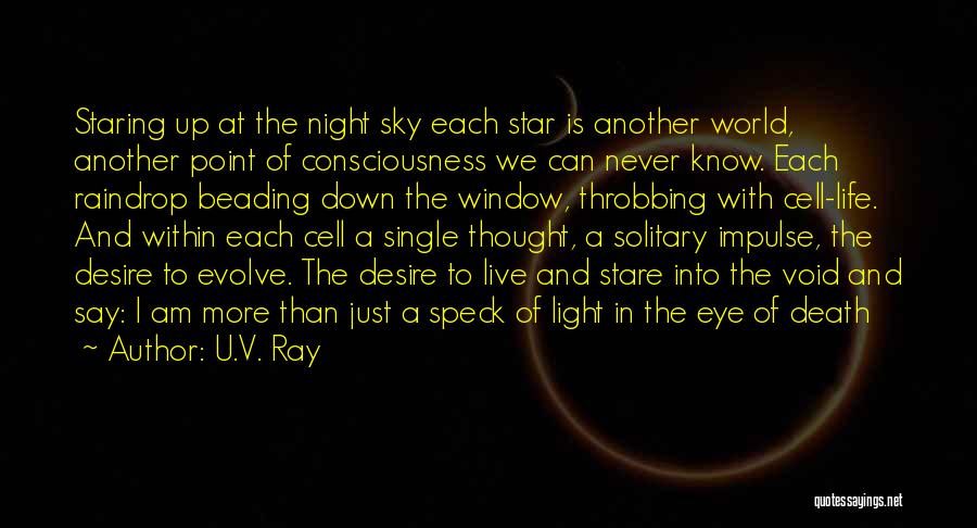 U.V. Ray Quotes: Staring Up At The Night Sky Each Star Is Another World, Another Point Of Consciousness We Can Never Know. Each