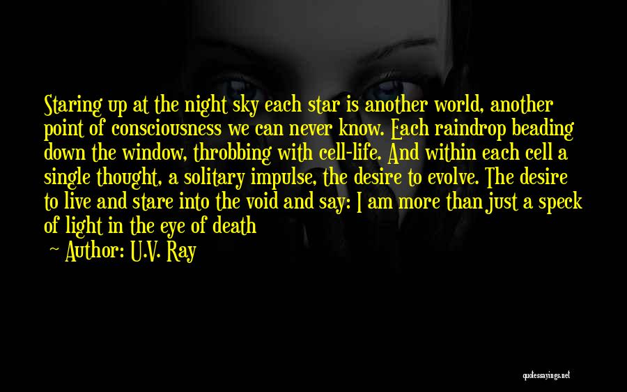 U.V. Ray Quotes: Staring Up At The Night Sky Each Star Is Another World, Another Point Of Consciousness We Can Never Know. Each