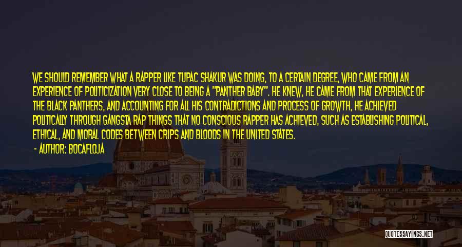 Bocafloja Quotes: We Should Remember What A Rapper Like Tupac Shakur Was Doing, To A Certain Degree, Who Came From An Experience