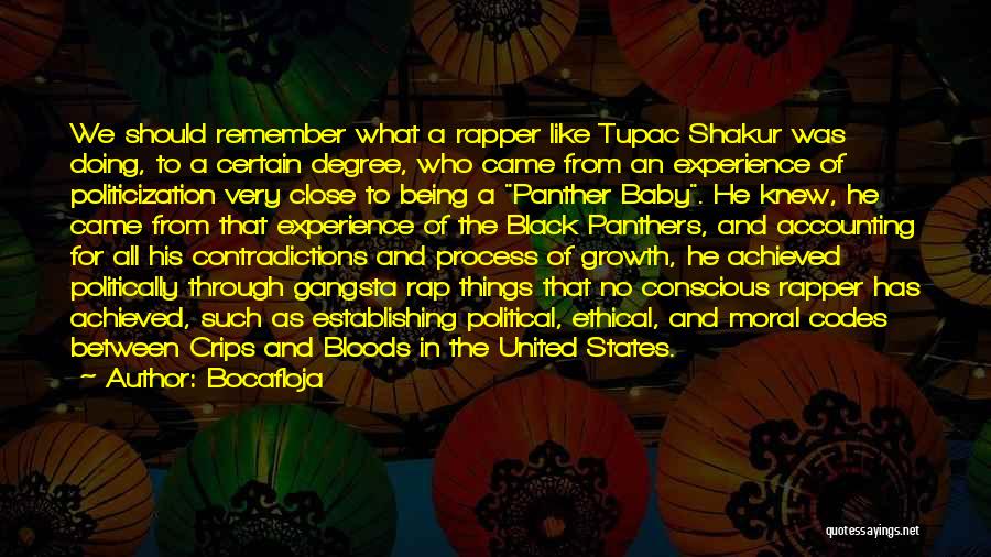 Bocafloja Quotes: We Should Remember What A Rapper Like Tupac Shakur Was Doing, To A Certain Degree, Who Came From An Experience