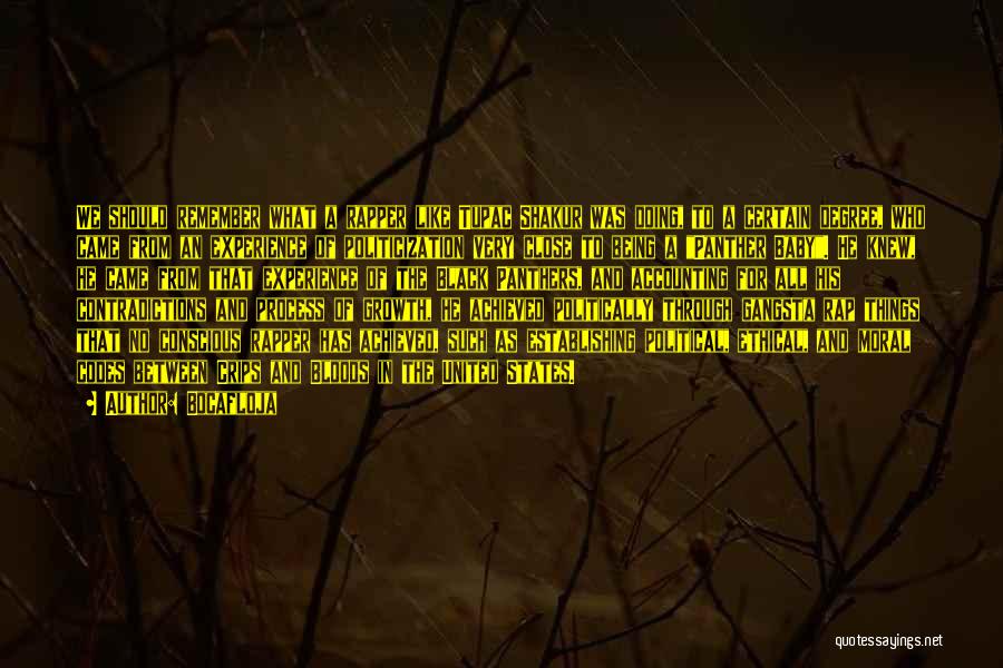 Bocafloja Quotes: We Should Remember What A Rapper Like Tupac Shakur Was Doing, To A Certain Degree, Who Came From An Experience