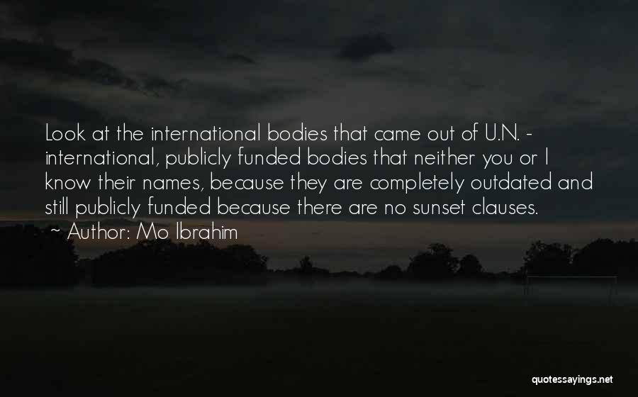 Mo Ibrahim Quotes: Look At The International Bodies That Came Out Of U.n. - International, Publicly Funded Bodies That Neither You Or I