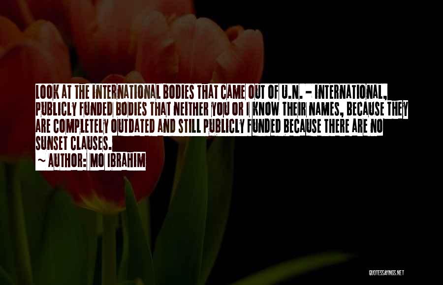 Mo Ibrahim Quotes: Look At The International Bodies That Came Out Of U.n. - International, Publicly Funded Bodies That Neither You Or I