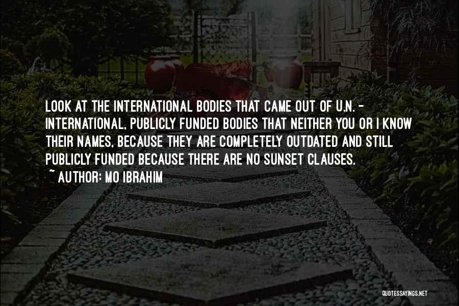 Mo Ibrahim Quotes: Look At The International Bodies That Came Out Of U.n. - International, Publicly Funded Bodies That Neither You Or I