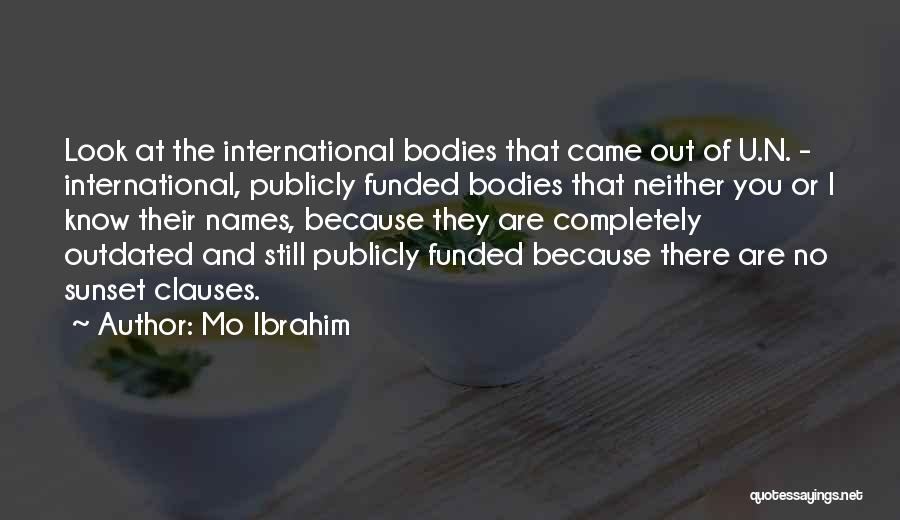 Mo Ibrahim Quotes: Look At The International Bodies That Came Out Of U.n. - International, Publicly Funded Bodies That Neither You Or I