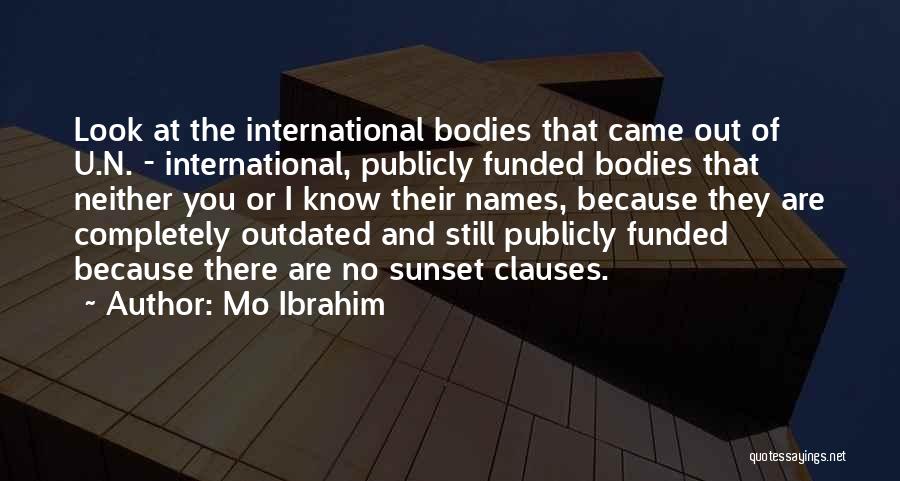 Mo Ibrahim Quotes: Look At The International Bodies That Came Out Of U.n. - International, Publicly Funded Bodies That Neither You Or I