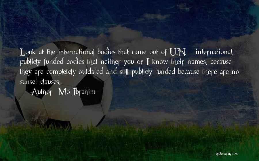 Mo Ibrahim Quotes: Look At The International Bodies That Came Out Of U.n. - International, Publicly Funded Bodies That Neither You Or I