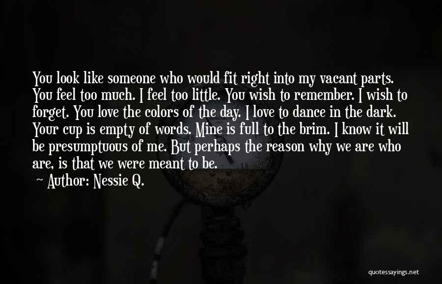 Nessie Q. Quotes: You Look Like Someone Who Would Fit Right Into My Vacant Parts. You Feel Too Much. I Feel Too Little.