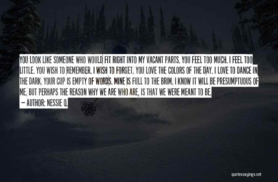 Nessie Q. Quotes: You Look Like Someone Who Would Fit Right Into My Vacant Parts. You Feel Too Much. I Feel Too Little.