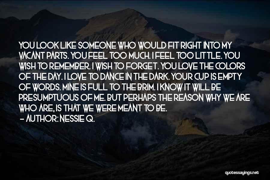 Nessie Q. Quotes: You Look Like Someone Who Would Fit Right Into My Vacant Parts. You Feel Too Much. I Feel Too Little.