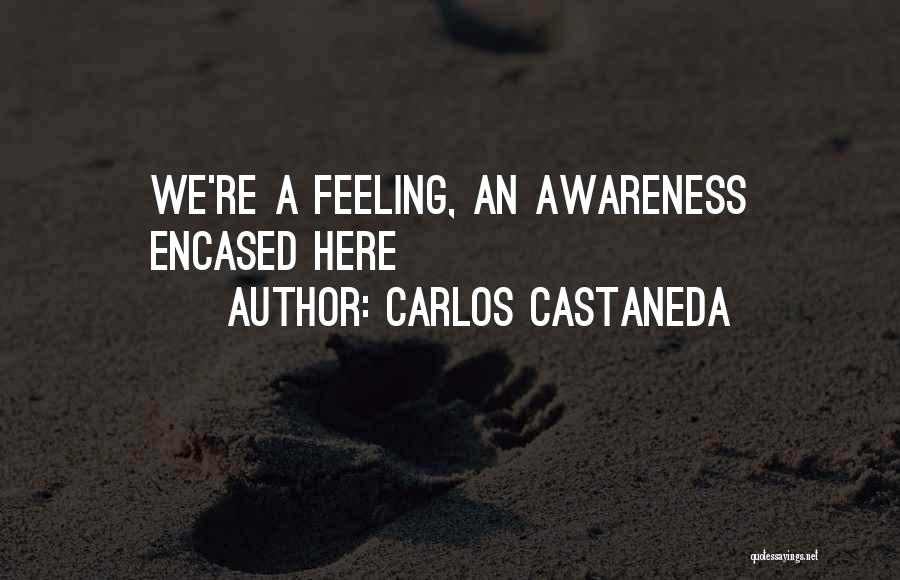 Carlos Castaneda Quotes: We're A Feeling, An Awareness Encased Here