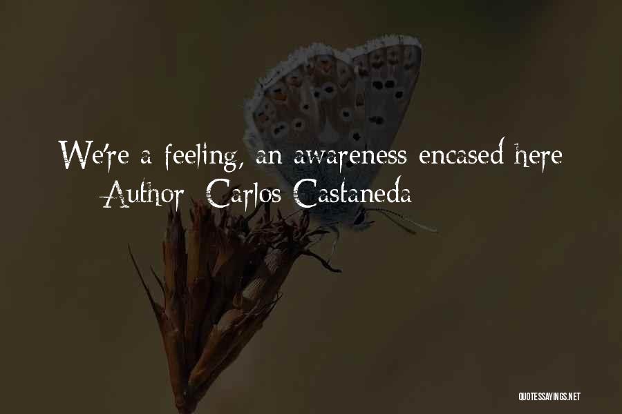 Carlos Castaneda Quotes: We're A Feeling, An Awareness Encased Here