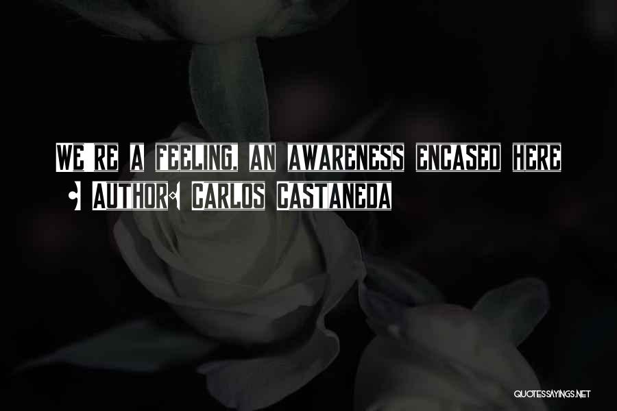 Carlos Castaneda Quotes: We're A Feeling, An Awareness Encased Here