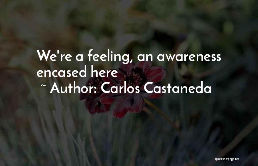 Carlos Castaneda Quotes: We're A Feeling, An Awareness Encased Here