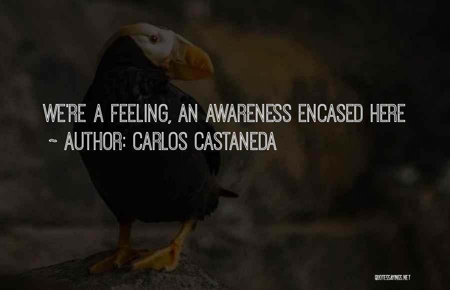 Carlos Castaneda Quotes: We're A Feeling, An Awareness Encased Here