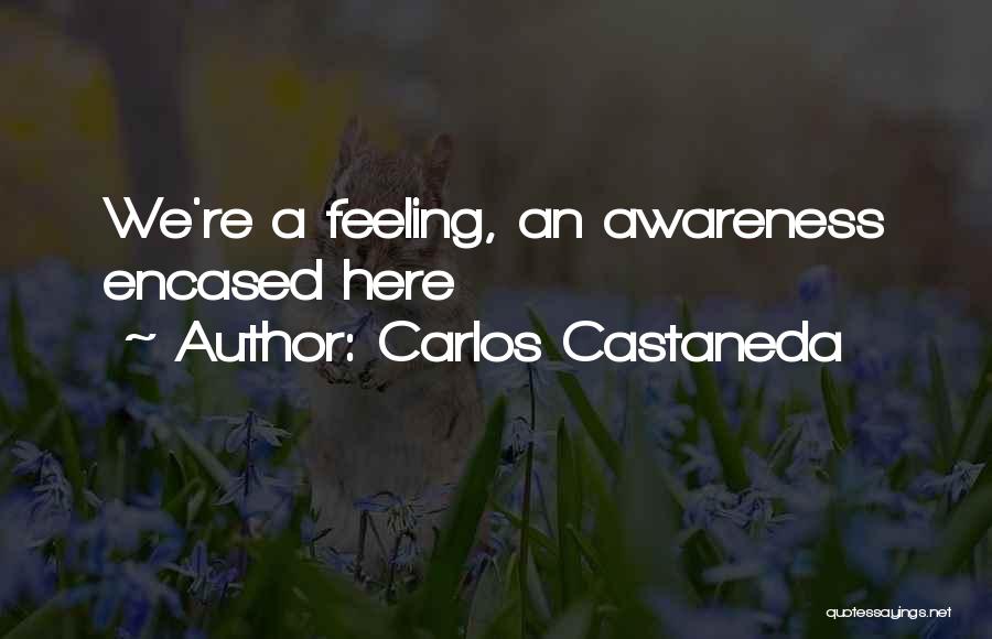 Carlos Castaneda Quotes: We're A Feeling, An Awareness Encased Here