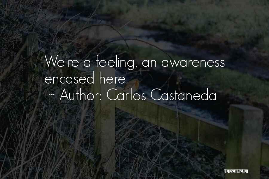 Carlos Castaneda Quotes: We're A Feeling, An Awareness Encased Here