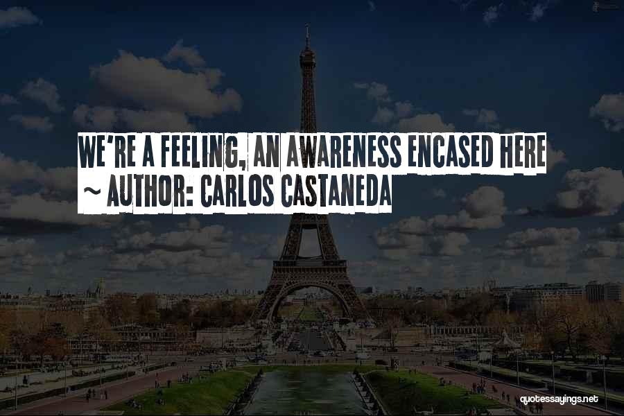 Carlos Castaneda Quotes: We're A Feeling, An Awareness Encased Here