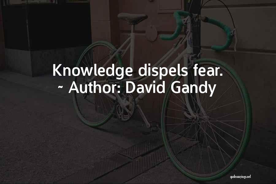 David Gandy Quotes: Knowledge Dispels Fear.