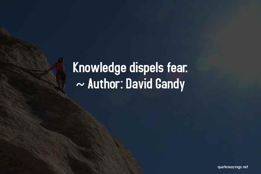 David Gandy Quotes: Knowledge Dispels Fear.