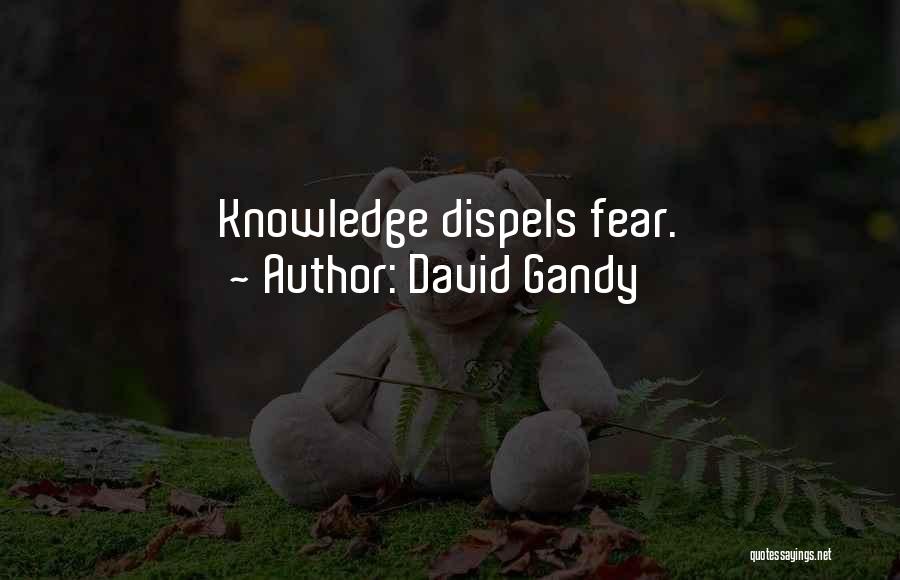 David Gandy Quotes: Knowledge Dispels Fear.