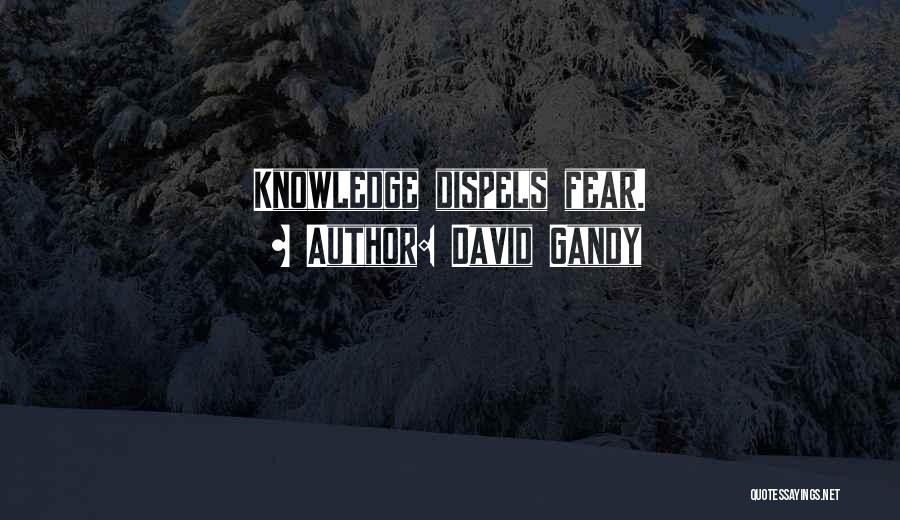 David Gandy Quotes: Knowledge Dispels Fear.