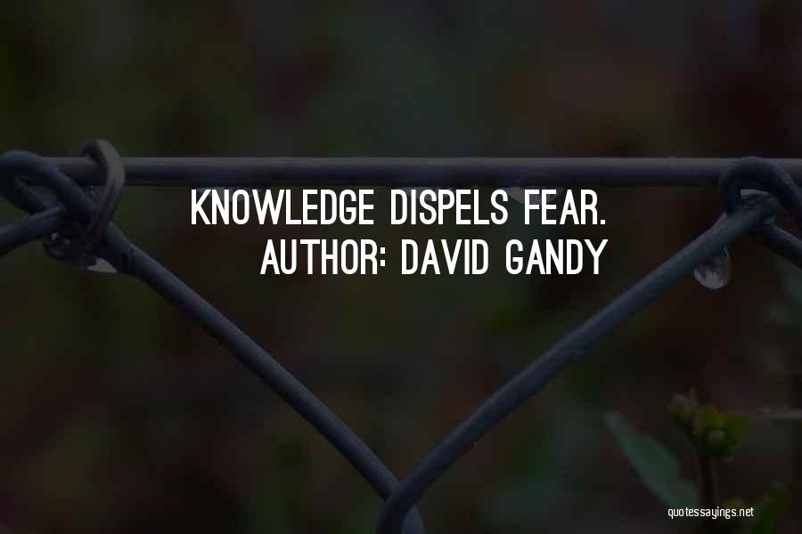 David Gandy Quotes: Knowledge Dispels Fear.