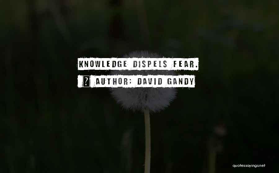 David Gandy Quotes: Knowledge Dispels Fear.