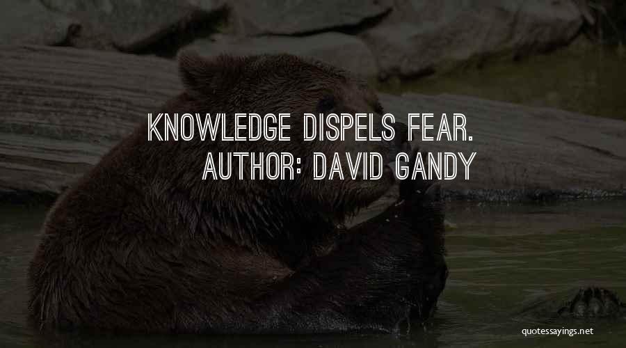 David Gandy Quotes: Knowledge Dispels Fear.