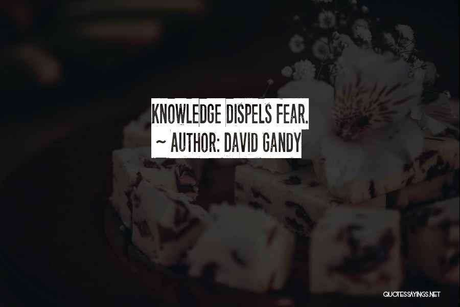 David Gandy Quotes: Knowledge Dispels Fear.