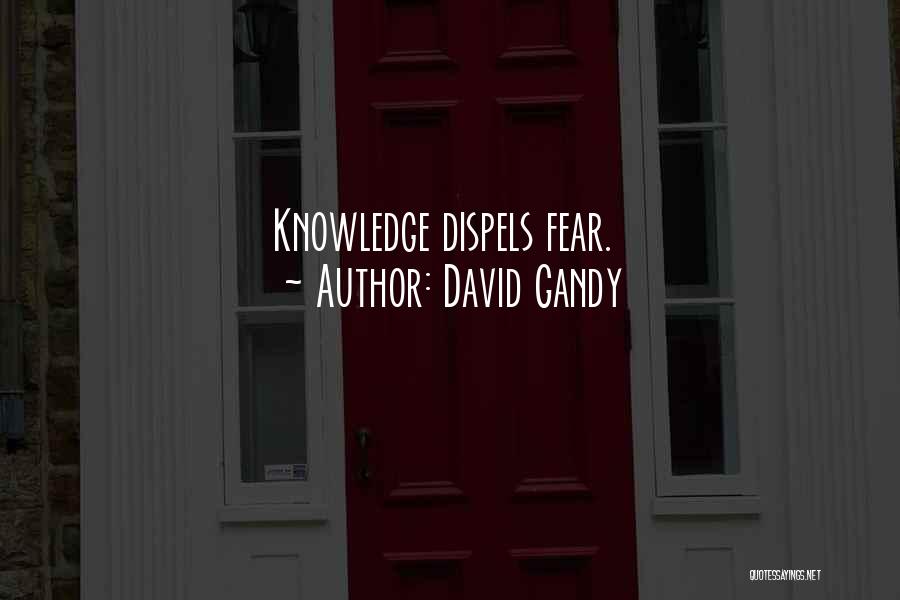 David Gandy Quotes: Knowledge Dispels Fear.