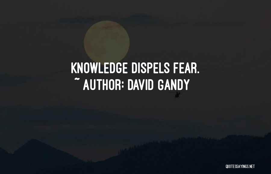 David Gandy Quotes: Knowledge Dispels Fear.
