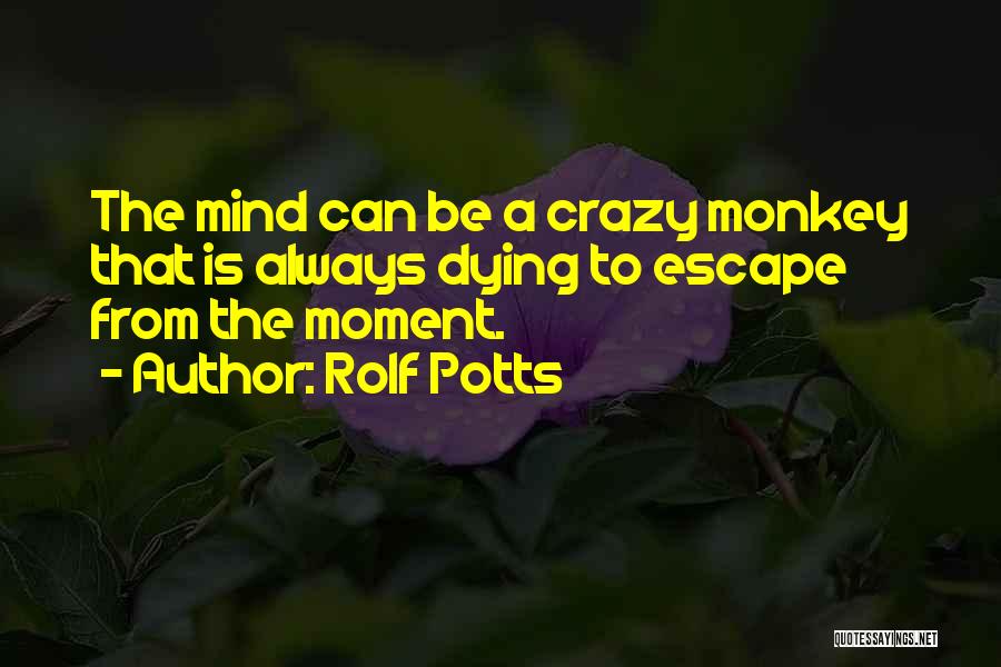 Rolf Potts Quotes: The Mind Can Be A Crazy Monkey That Is Always Dying To Escape From The Moment.