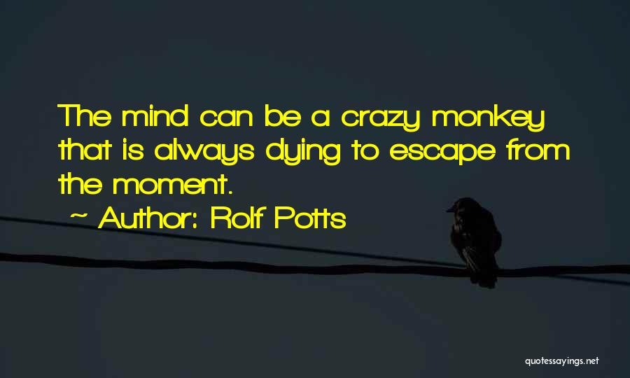 Rolf Potts Quotes: The Mind Can Be A Crazy Monkey That Is Always Dying To Escape From The Moment.