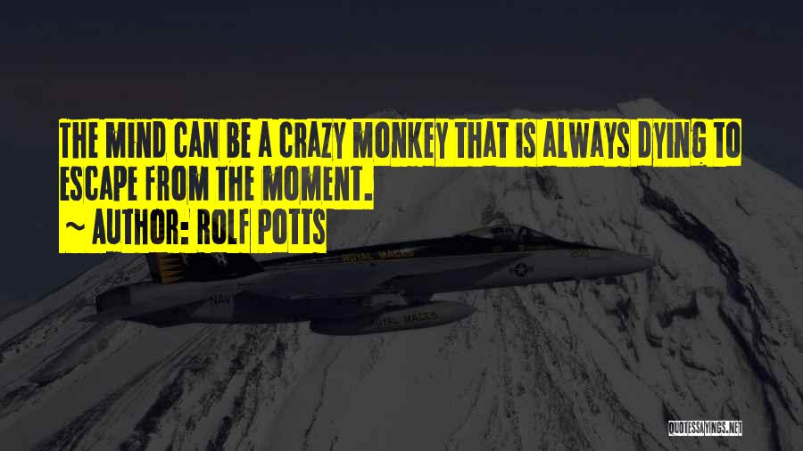 Rolf Potts Quotes: The Mind Can Be A Crazy Monkey That Is Always Dying To Escape From The Moment.