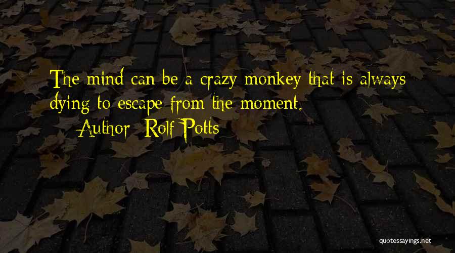 Rolf Potts Quotes: The Mind Can Be A Crazy Monkey That Is Always Dying To Escape From The Moment.