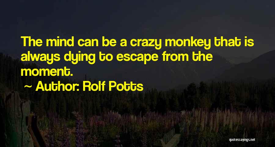 Rolf Potts Quotes: The Mind Can Be A Crazy Monkey That Is Always Dying To Escape From The Moment.