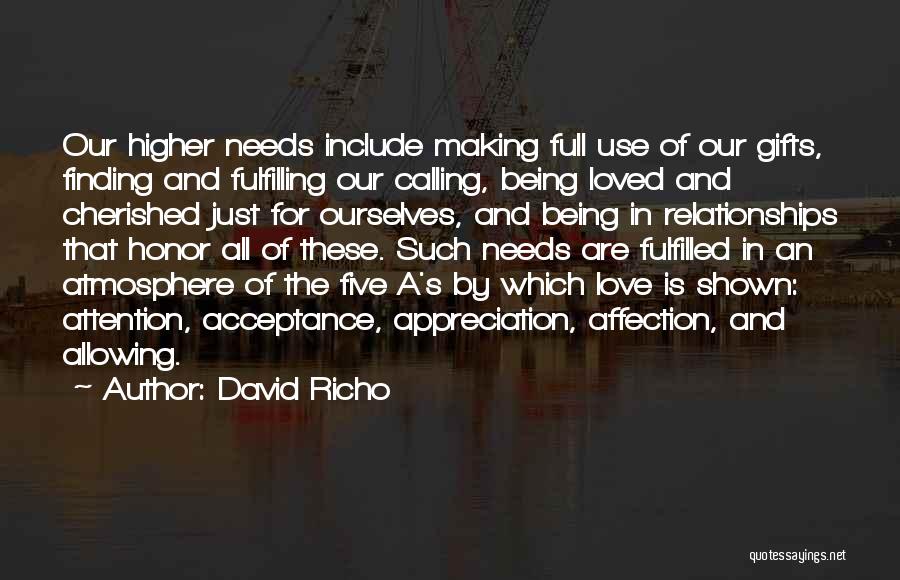 David Richo Quotes: Our Higher Needs Include Making Full Use Of Our Gifts, Finding And Fulfilling Our Calling, Being Loved And Cherished Just