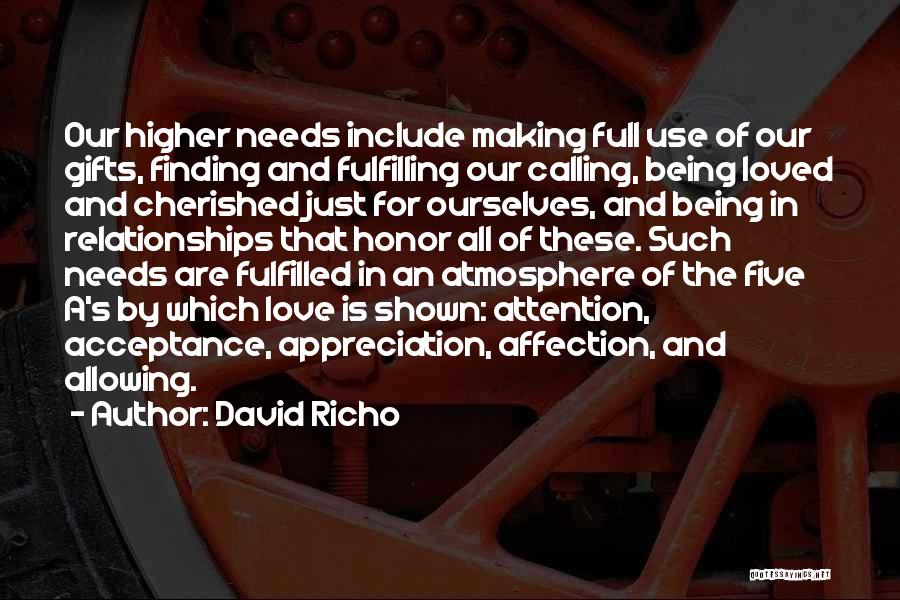 David Richo Quotes: Our Higher Needs Include Making Full Use Of Our Gifts, Finding And Fulfilling Our Calling, Being Loved And Cherished Just