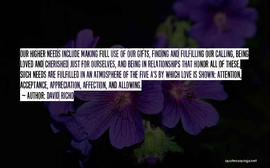 David Richo Quotes: Our Higher Needs Include Making Full Use Of Our Gifts, Finding And Fulfilling Our Calling, Being Loved And Cherished Just