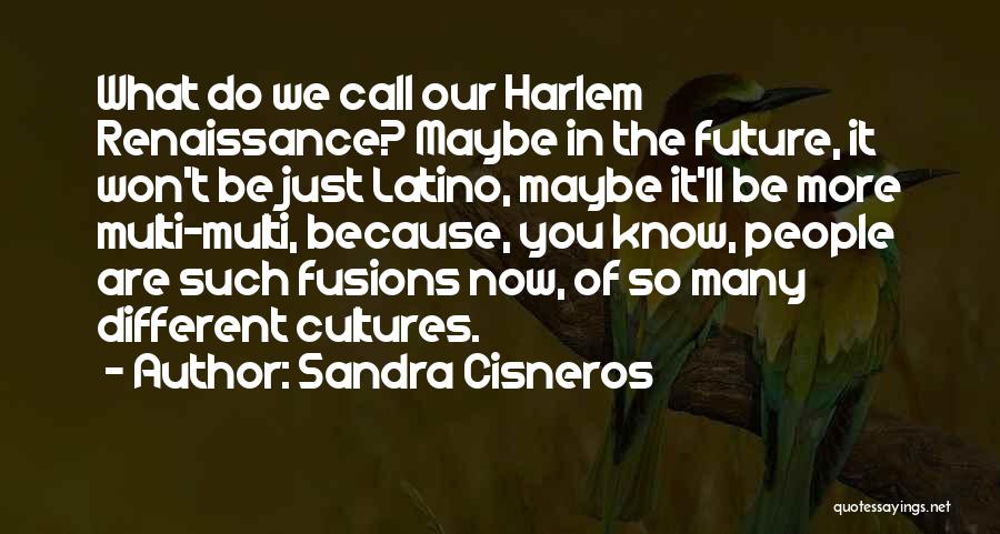 Sandra Cisneros Quotes: What Do We Call Our Harlem Renaissance? Maybe In The Future, It Won't Be Just Latino, Maybe It'll Be More